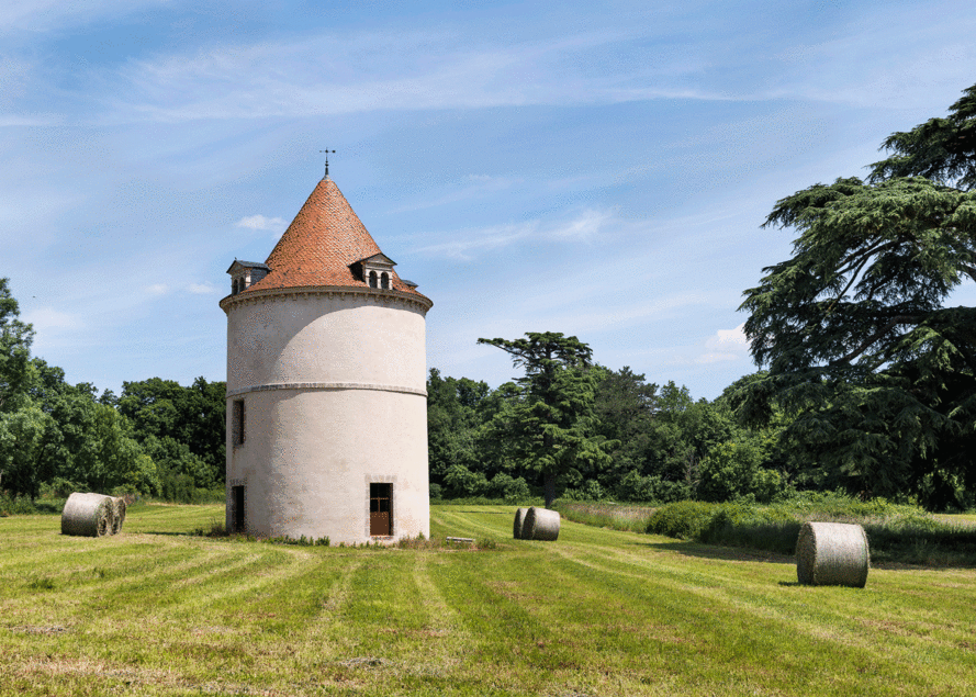 2025 Dauchez Pigeonnier