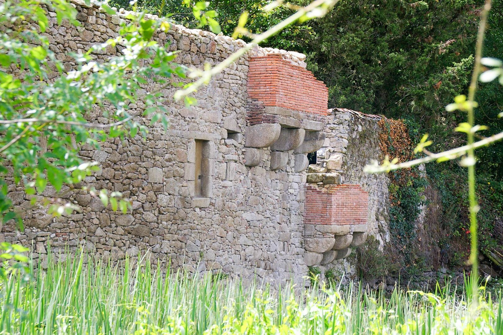 Cit des Oiseaux Les Landes G nusson re LR